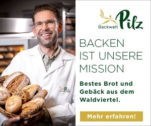 Backwelt Pilz