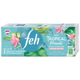 feh Summer Edition My Tropical Moments 